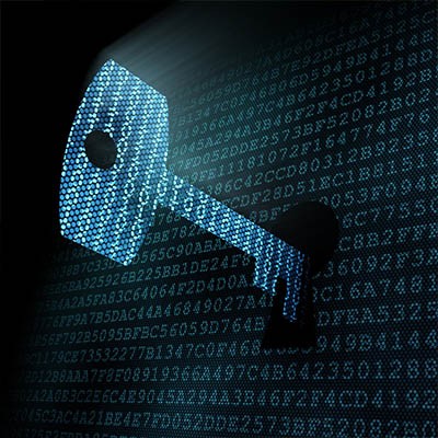 Your Business May Be Most Vulnerable from the Inside